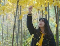 淡墨素笺句子