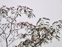 随心随想