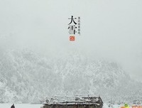 盛开的忧伤句子