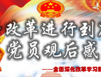 《爱的进行时》经典观后感集