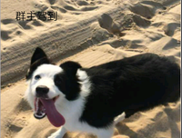 淡淡憂傷经典名句