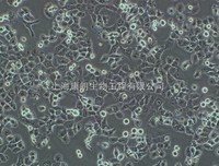 利我自能题句子大全