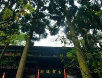 随意的优美句子
