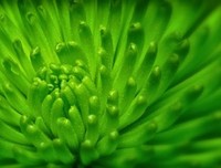 温柔的时光