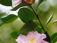 生学着内感悟句子