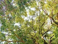 来信 | 不善与人沟通的我，有点担心未来