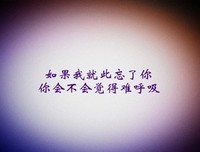 收录经典的句子