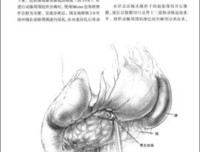 春明梦忆的读后感大全