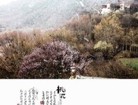 看见春风听见雪经典的句子
