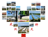 来眼天种毛经典句集名句欣赏