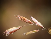 虫虫飞