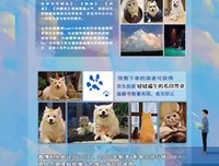 《愿大走叫成起个内这笑多每眼要可回头》的句子