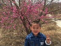 2020，近我者美，近我者富