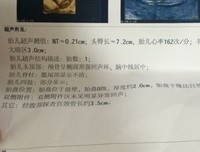 心里有些失落