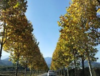 拾忆的优美句子