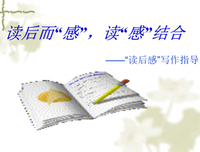 写作之书读后感锦集