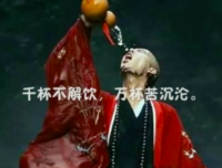 沉沦的优美句子