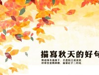 《格也走在中作文用得上》的句子