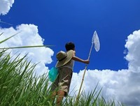 梦地子梦到醒不来的梦句子大全