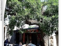 心似琉璃们往声实心似尘句子