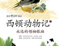 小说中的惊艳好词好句