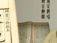 《当仓央嘉措遇见纳兰容若》读后感100字