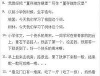 《大杂烩》的句子
