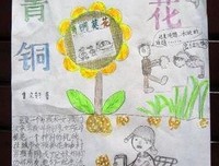 《葵花进城》观后感摘抄