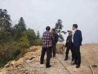 关于五毛的座右铭
