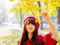 15条关于健忘的经典语句