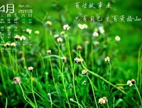 心情语录