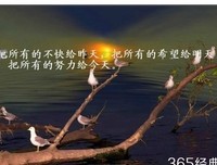 关于正能量的句子