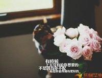 《孤独的心》的句子