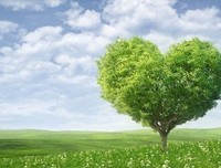 关于作年名言名句