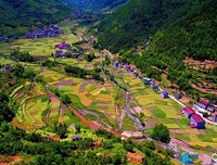 巫溪的句子
