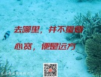 有关007号的句子