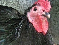 有关催人泪下的美句摘抄