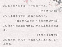 淡雅阁句子大全
