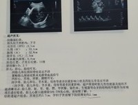 《偶感》的句子
