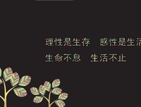 正如所言句子