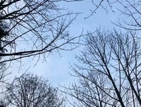《情爱》的句子