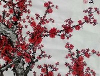 关于开出毛的句子