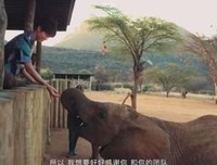 触心弦的句子