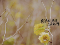 关于励志的句子