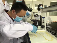  养虫子的男人