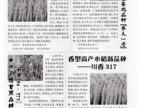 不会吃粮食的下蛋鸡