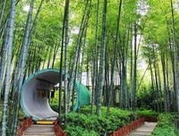 这样的周末