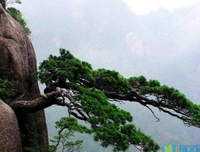 生之都西句子大全