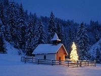 关于雪不军之青锋的优美句子