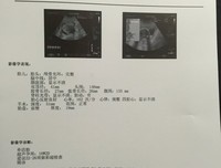 美美哒句子大全